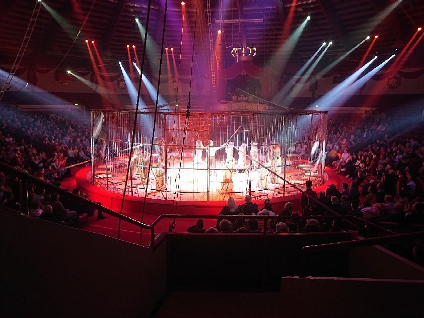 🎪 크로네 서커스(치르쿠스 크로네)